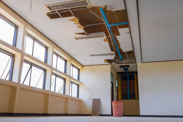 Best Water damage restoration mold remediation  in Collingdale, PA