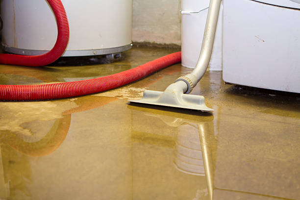 Best Water damage cleanup near me  in Collingdale, PA
