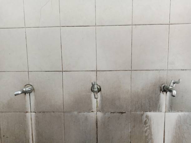 Best Ceiling water damage repair  in Collingdale, PA
