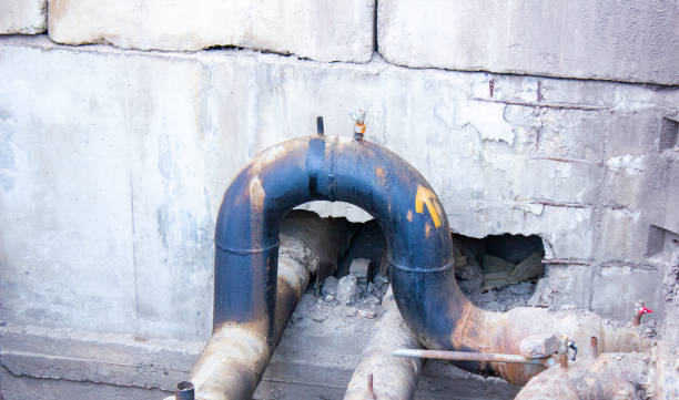 Best Local water damage restoration  in Collingdale, PA