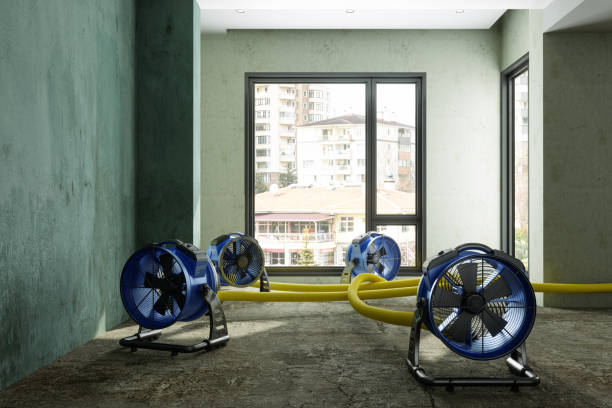 Best Commercial water damage restoration  in Collingdale, PA